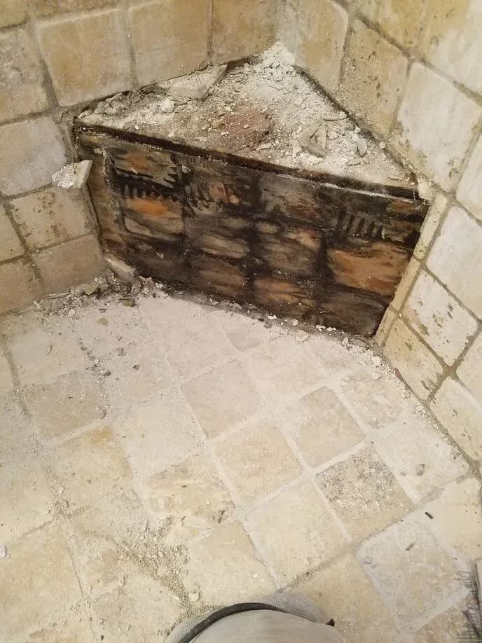 Black mold. Underneath this bench was a pond of filthy stinky water. YUM.